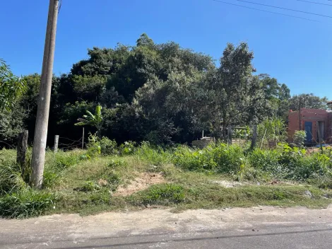 Terreno plano com ótimo valor
