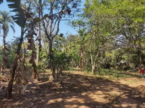 imagem 1 - Terreno - Área imagem 1 - Terreno - Área
