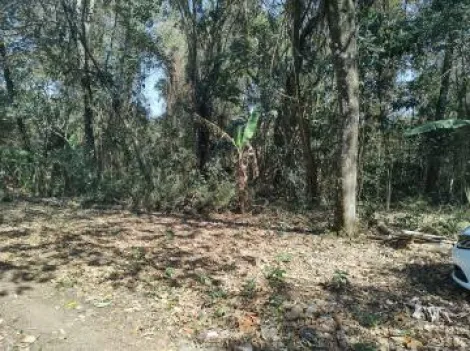 imagem 2 - Terreno - Área imagem 2 - Terreno - Área