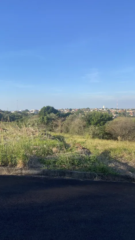 imagem 1 - Bairro Plaza Martin, Localizado próximo da Avenida Dante Delmanto imagem 1 - Bairro Plaza Martin, Localizado próximo da Avenida Dante Delmanto