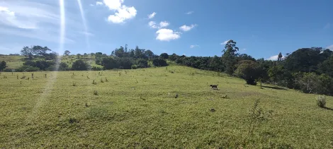 Sao Manuel Bairro dos Machados Rural Venda R$350.000,00  Area do terreno 20000.00m2 