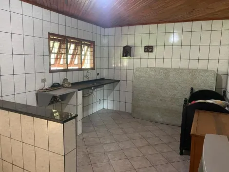 imagem 5 - Sítio com 3,6830 Alqueires no Bairro Campinho em São Manuel-SP imagem 5 - Sítio com 3,6830 Alqueires no Bairro Campinho em São Manuel-SP