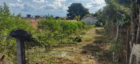 imagem 2 - Terreno com 480m2 com 12 metros de frente! excelente topografia! imagem 2 - Terreno com 480m2 com 12 metros de frente! excelente topografia!