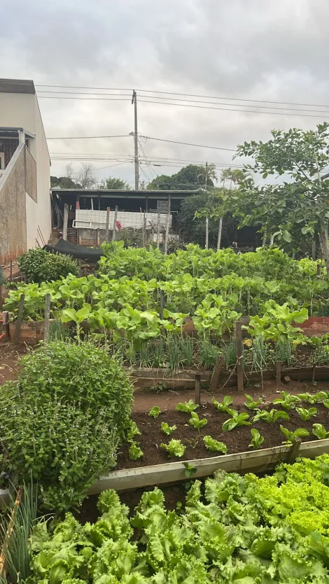 TERRENO NA RUA CURUZU