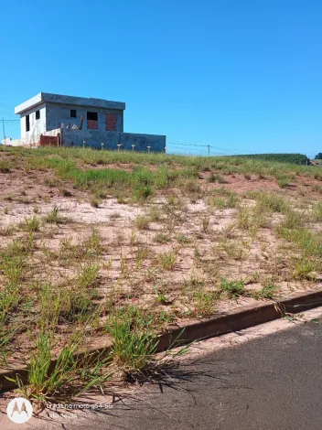 Terreno positivo em condomínio Mirante da Serra 1!