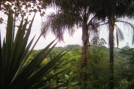 imagem 5 - CHACARA PROXIMO A CIDADE BOFETE! imagem 5 - CHACARA PROXIMO A CIDADE BOFETE!