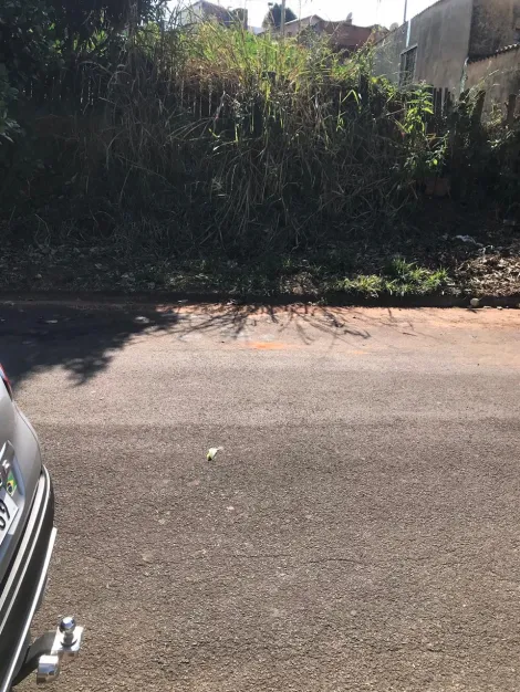 imagem 5 - TERRENO NO JARDIM DOM HENRIQUE (VILA ANTÁRTICA) COM 33,0 METROS DE FUNDOS, INDO DE UMA RUA À OUTRA imagem 5 - TERRENO NO JARDIM DOM HENRIQUE (VILA ANTÁRTICA) COM 33,0 METROS DE FUNDOS, INDO DE UMA RUA À OUTRA