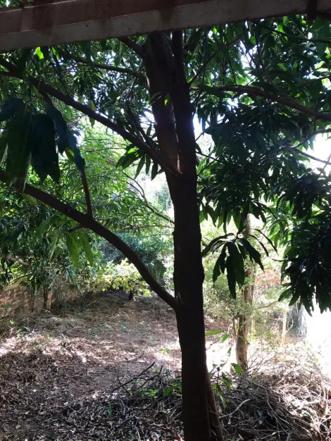 imagem 5 - TERRENO COM 300M² EM EXCELENTE LOCALIZAÇÃO, PRÓXIMO A ESCOLAS E PRINCIPAIS AVENIDAS DA CIDADE imagem 5 - TERRENO COM 300M² EM EXCELENTE LOCALIZAÇÃO, PRÓXIMO A ESCOLAS E PRINCIPAIS AVENIDAS DA CIDADE