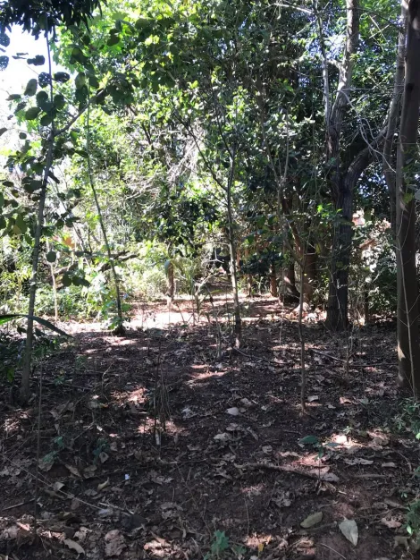 imagem 2 - TERRENO BEM LOCALIZADO PRÓXIMO AS PRINCIPAIS AVENIDAS DO JARDIM YPÊ E ITAMARATY imagem 2 - TERRENO BEM LOCALIZADO PRÓXIMO AS PRINCIPAIS AVENIDAS DO JARDIM YPÊ E ITAMARATY