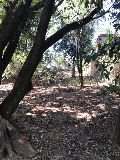 imagem 3 - TERRENO BEM LOCALIZADO PRÓXIMO AS PRINCIPAIS AVENIDAS DO JARDIM YPÊ E ITAMARATY imagem 3 - TERRENO BEM LOCALIZADO PRÓXIMO AS PRINCIPAIS AVENIDAS DO JARDIM YPÊ E ITAMARATY