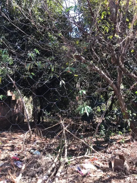 imagem 5 - TERRENO BEM LOCALIZADO PRÓXIMO AS PRINCIPAIS AVENIDAS DO JARDIM YPÊ E ITAMARATY imagem 5 - TERRENO BEM LOCALIZADO PRÓXIMO AS PRINCIPAIS AVENIDAS DO JARDIM YPÊ E ITAMARATY