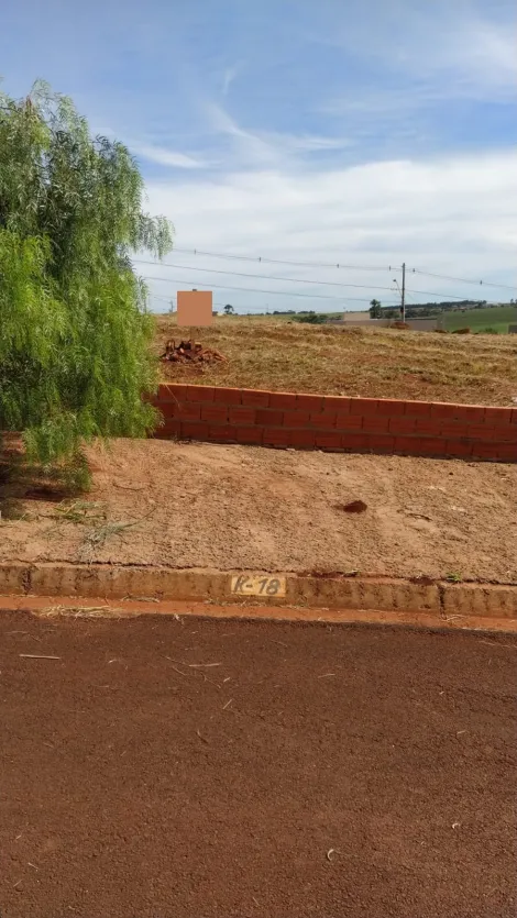 imagem 1 - Oportunidade Terreno plano Novo Dinkel imagem 1 - Oportunidade Terreno plano Novo Dinkel