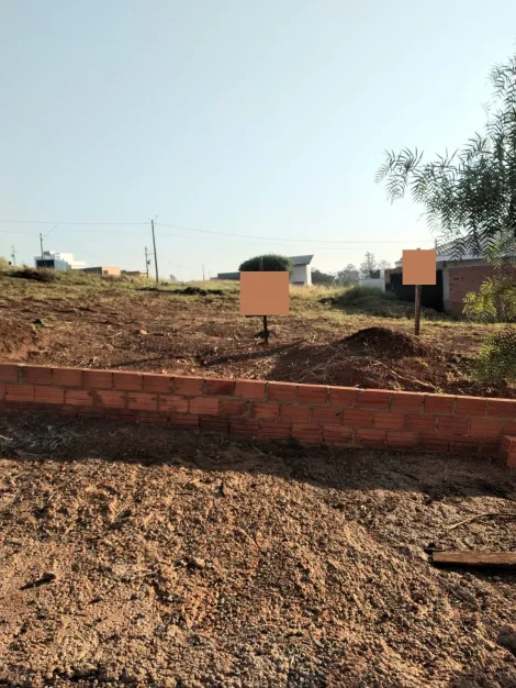 imagem 1 - Terreno no Jardim Novo Dinkel São Manuel imagem 1 - Terreno no Jardim Novo Dinkel São Manuel