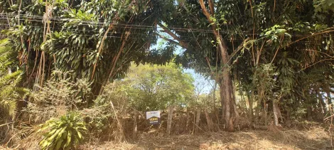 imagem 1 - Terreno - Área imagem 1 - Terreno - Área