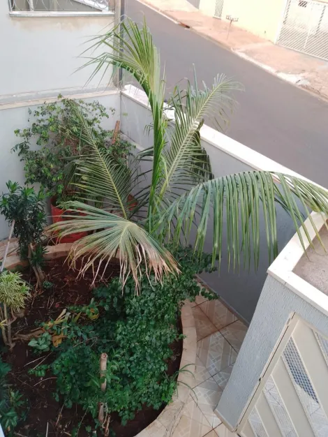 imagem 4 - Excelente sobrado em um terreno com 10,05 m de frente e 29,92 m de fundos, com cômodos amplos, edícula, espaço gourmet, sacada com vista para vasta área verde, jardim interno e externo. imagem 4 - Excelente sobrado em um terreno com 10,05 m de frente e 29,92 m de fundos, com cômodos amplos, edícula, espaço gourmet, sacada com vista para vasta área verde, jardim interno e externo.
