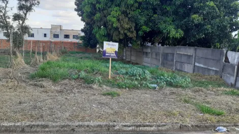 imagem 1 - Terreno com boa topografia! imagem 1 - Terreno com boa topografia!
