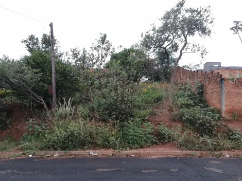 imagem 1 - Terreno positivo, com 240m2, próximo ao Fórum! Bairro em crescimento! imagem 1 - Terreno positivo, com 240m2, próximo ao Fórum! Bairro em crescimento!