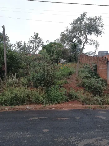 imagem 2 - Terreno positivo, com 240m2, próximo ao Fórum! Bairro em crescimento! imagem 2 - Terreno positivo, com 240m2, próximo ao Fórum! Bairro em crescimento!
