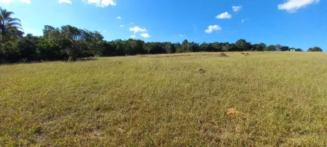 imagem 1 - Terreno amplo, ao lado Califórnia 2 imagem 1 - Terreno amplo, ao lado Califórnia 2
