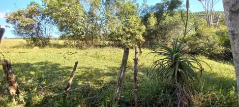 imagem 2 - Terreno amplo, ao lado Califórnia 2 imagem 2 - Terreno amplo, ao lado Califórnia 2