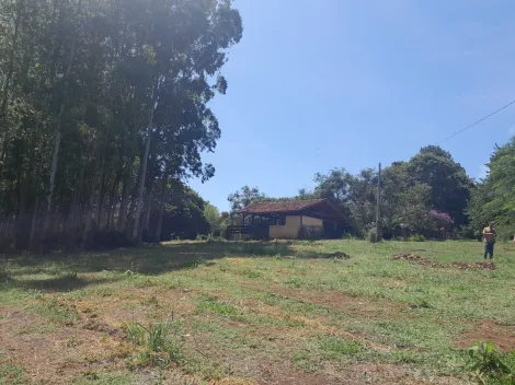 imagem 4 - Rural - Sitio imagem 4 - Rural - Sitio