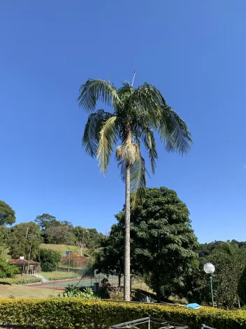 imagem 5 - CASA ICÔNICA NO VALE DO SOL, IDEAL PARA RECEBER A FAMÍLIA E AMIGOS PARA MOMENTOS DE DESCONTRAÇÃO E DIVERSÃO imagem 5 - CASA ICÔNICA NO VALE DO SOL, IDEAL PARA RECEBER A FAMÍLIA E AMIGOS PARA MOMENTOS DE DESCONTRAÇÃO E DIVERSÃO