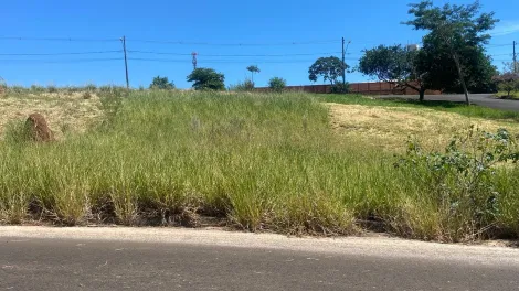 imagem 2 - LOTE COM 250m² NO PLAZA MARTIN EM BOTUCATU imagem 2 - LOTE COM 250m² NO PLAZA MARTIN EM BOTUCATU