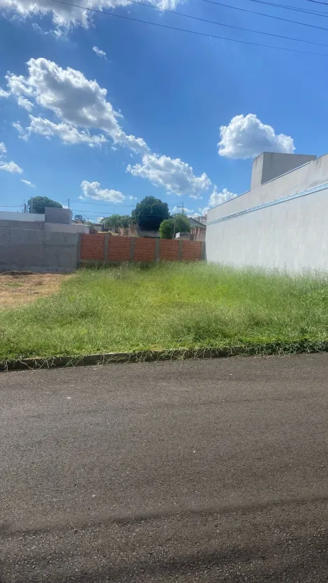 imagem 1 - Lote com 250 metros no Central Parque imagem 1 - Lote com 250 metros no Central Parque