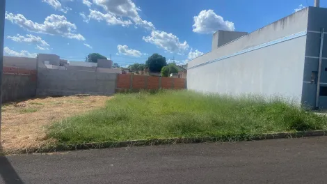 imagem 2 - Lote com 250 metros no Central Parque imagem 2 - Lote com 250 metros no Central Parque