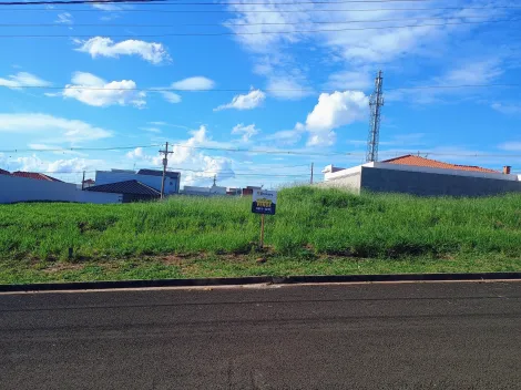 imagem 3 - Terreno Com Ótima Topografia imagem 3 - Terreno Com Ótima Topografia