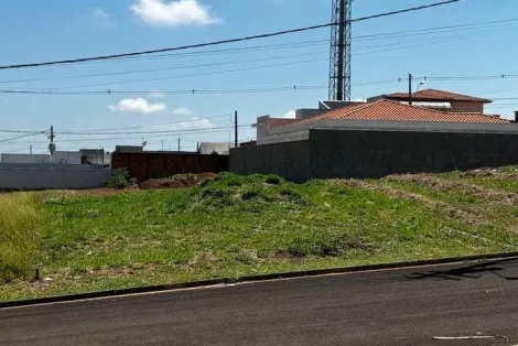 imagem 1 - Terreno Com Ótima Topografia imagem 1 - Terreno Com Ótima Topografia