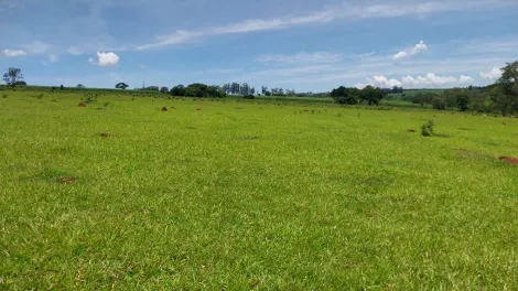 imagem 5 - Sitio excelente para o plantio de Cana de Açúcar imagem 5 - Sitio excelente para o plantio de Cana de Açúcar
