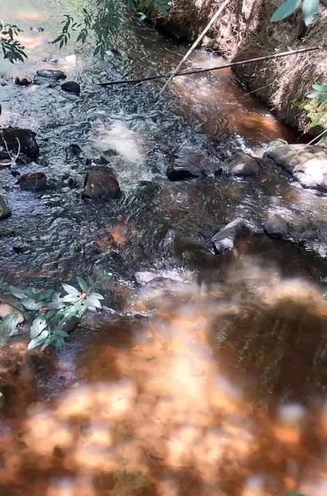 imagem 1 - Sitio excelente para o plantio de Cana de Açúcar imagem 1 - Sitio excelente para o plantio de Cana de Açúcar