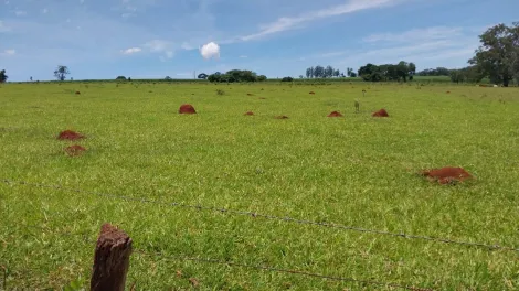 imagem 3 - Sitio excelente para o plantio de Cana de Açúcar imagem 3 - Sitio excelente para o plantio de Cana de Açúcar