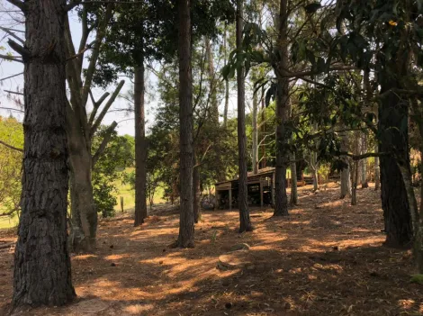 imagem 4 - Linda chácara com 20.000m² a beira da Rodovia Castelo Branco em Bofete imagem 4 - Linda chácara com 20.000m² a beira da Rodovia Castelo Branco em Bofete