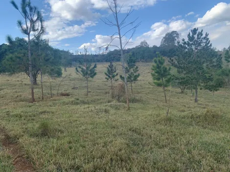 imagem 3 - Sítio para quem busca tranquilidade e contato com a natureza! imagem 3 - Sítio para quem busca tranquilidade e contato com a natureza!
