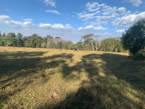 imagem 4 - Sítio para quem busca tranquilidade e contato com a natureza! imagem 4 - Sítio para quem busca tranquilidade e contato com a natureza!