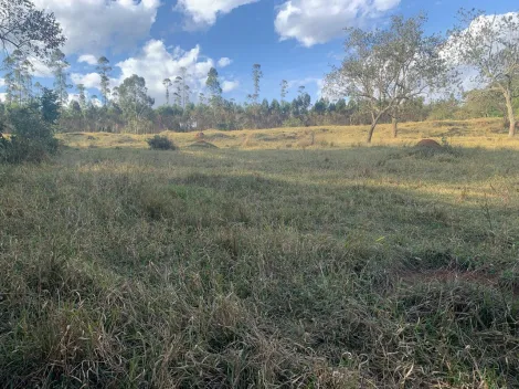 imagem 5 - Sítio para quem busca tranquilidade e contato com a natureza! imagem 5 - Sítio para quem busca tranquilidade e contato com a natureza!