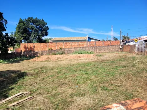 imagem 1 - amplo terreno, plano, para finalidade comercial na Gastão Dall Farra! imagem 1 - amplo terreno, plano, para finalidade comercial na Gastão Dall Farra!