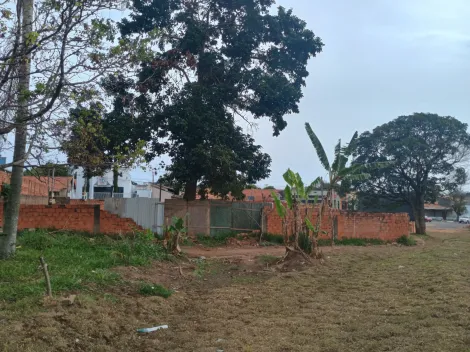 imagem 5 - amplo terreno, plano, para finalidade comercial na Gastão Dall Farra! imagem 5 - amplo terreno, plano, para finalidade comercial na Gastão Dall Farra!