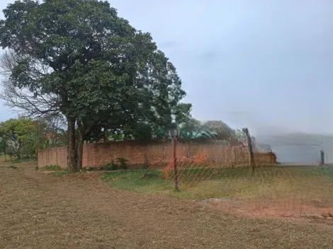 imagem 4 - amplo terreno, plano, para finalidade comercial na Gastão Dall Farra! imagem 4 - amplo terreno, plano, para finalidade comercial na Gastão Dall Farra!