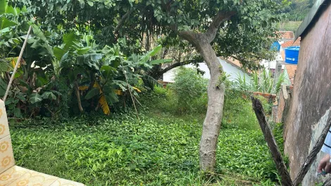 imagem 2 - Imóvel localizado no centro em um terreno de 241,33 m² com quintal imagem 2 - Imóvel localizado no centro em um terreno de 241,33 m² com quintal