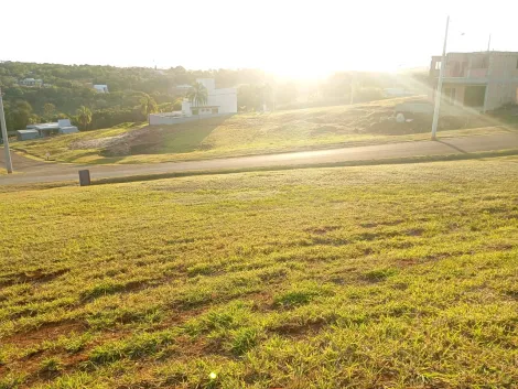 imagem 1 - Excelente terreno positivo! imagem 1 - Excelente terreno positivo!