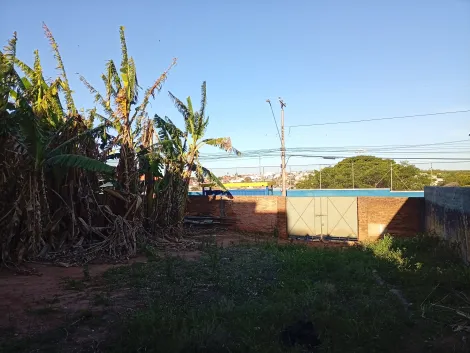 imagem 1 - Terreno para locação metragem 10x25 região central imagem 1 - Terreno para locação metragem 10x25 região central