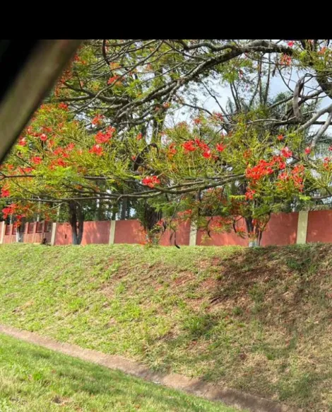 imagem 4 - Rural - Chácara / Fazenda imagem 4 - Rural - Chácara / Fazenda